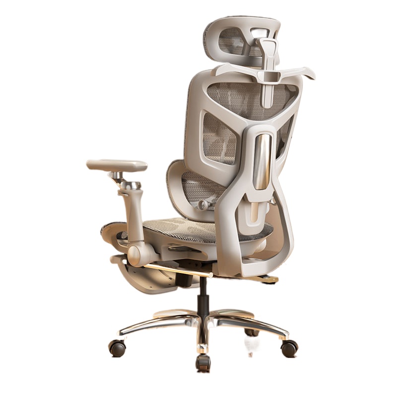 Ergonomic Office Chair for Com - Ergonomic Office Chair ulasan dan harga